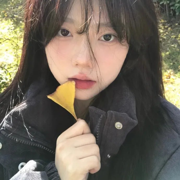 甜甜圈之王